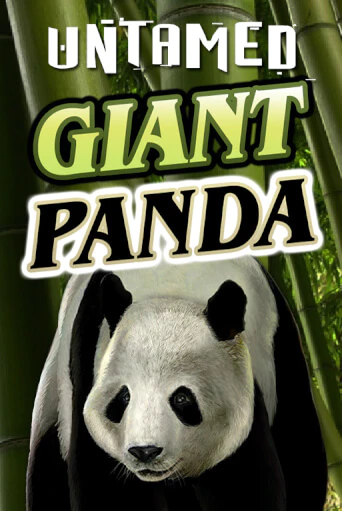 Untamed - Giant Panda демо слот играть онлайн | JoyCasino Online бесплатная игра